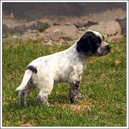 060501-1.jpg